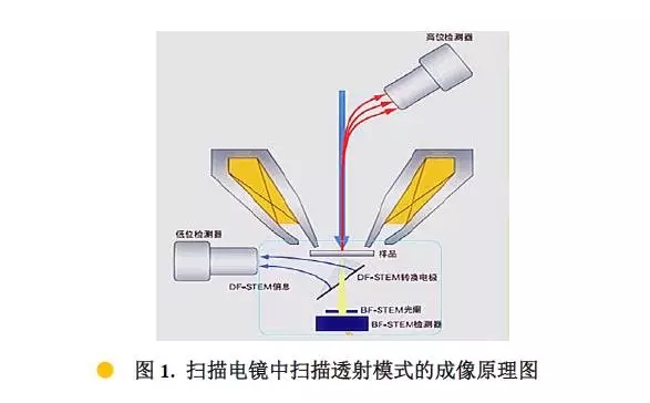 台州扫描电镜